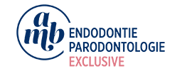 Dr Antonietta Bordone Logo